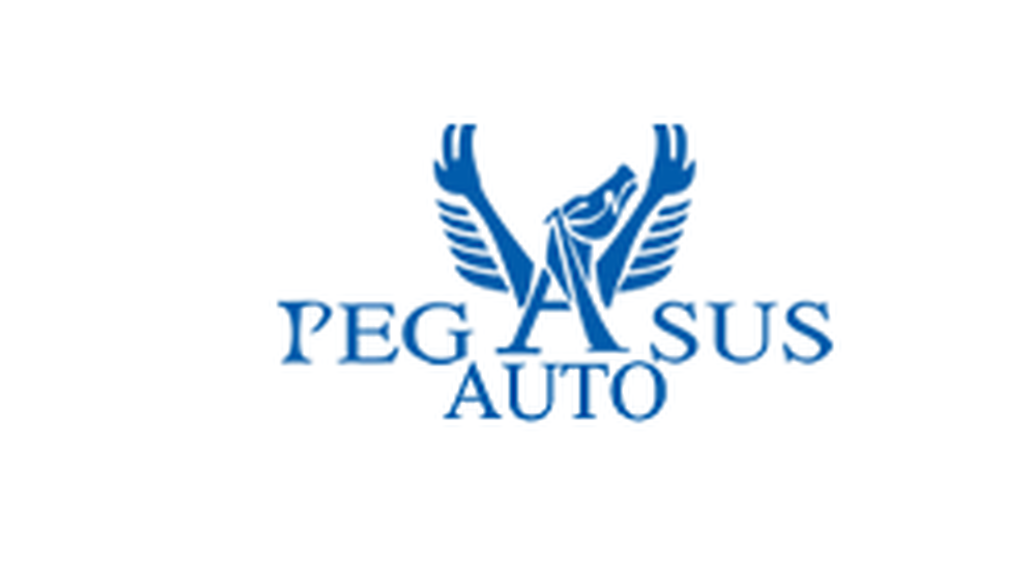 Pegasus Auto Vendita e Noleggio